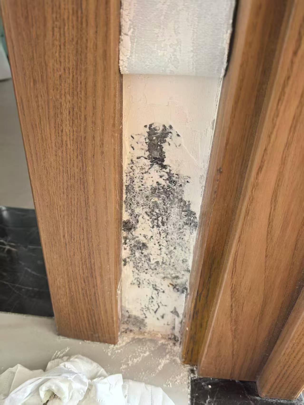 锦绣花城北区：门口墙体受潮发霉