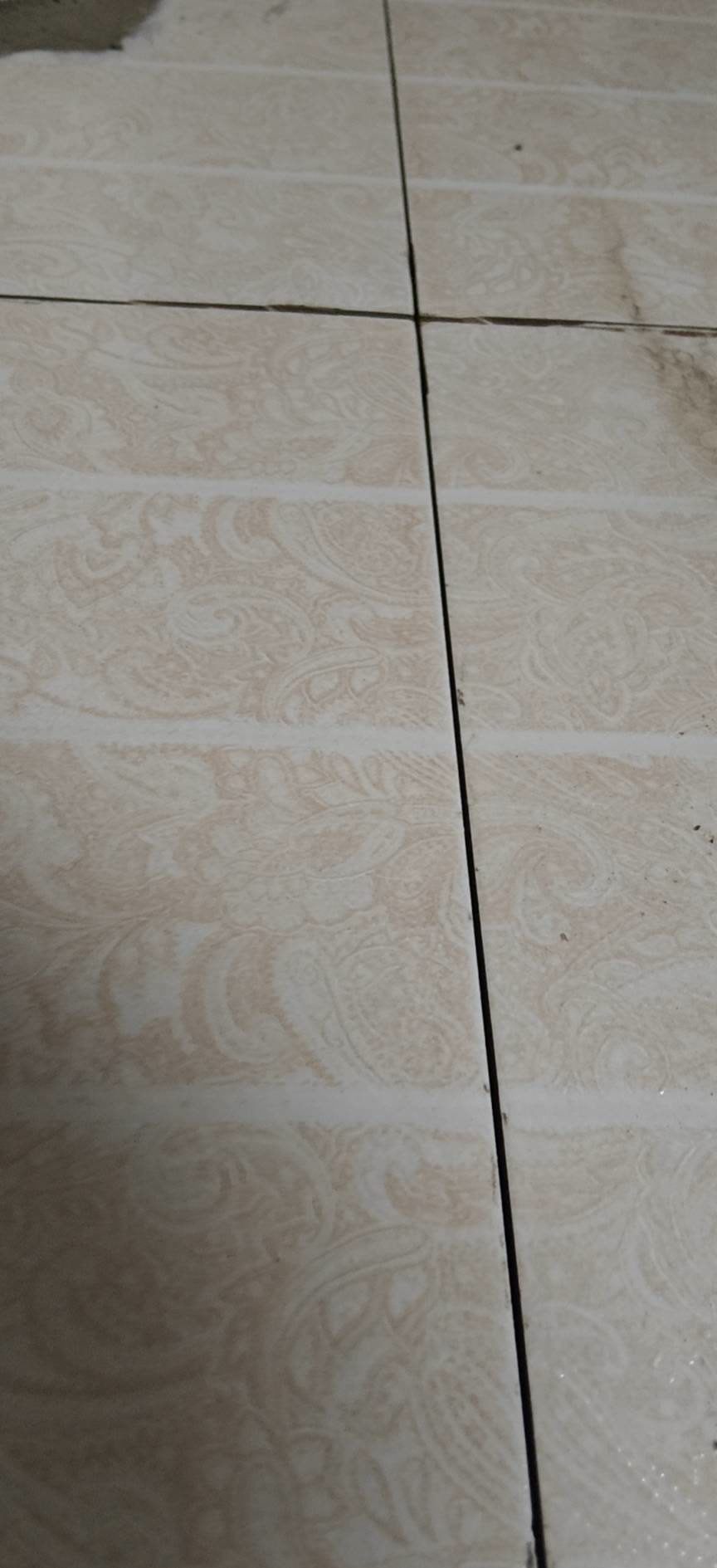 大庆蜀苑：旧缝清理后地面
